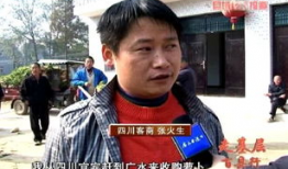 罗卜视频,揭秘生活趣味，畅享视觉盛宴